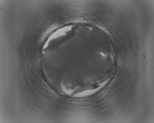 X0000066931359200604211713