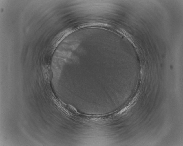 X0000066931369200604211713