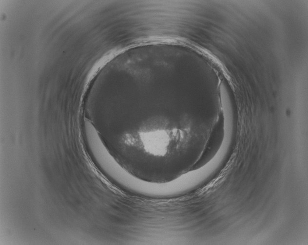 X0000066931373200604211713