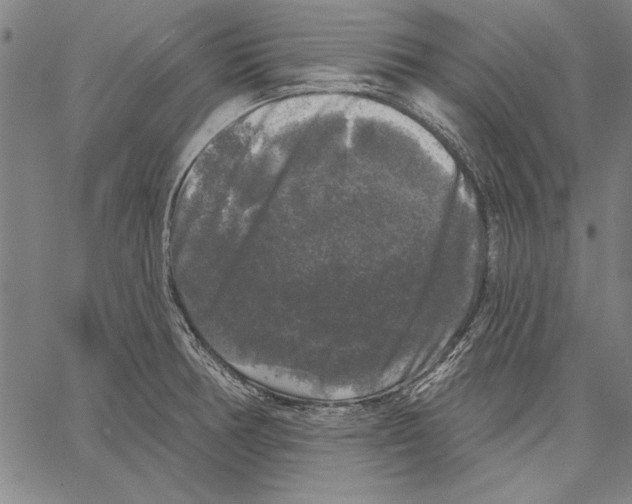 X0000066931378200604211713
