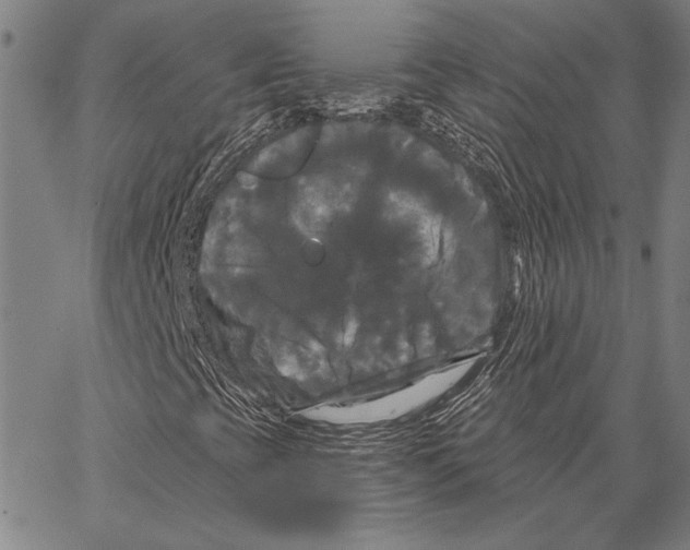 X0000066931393200604211712