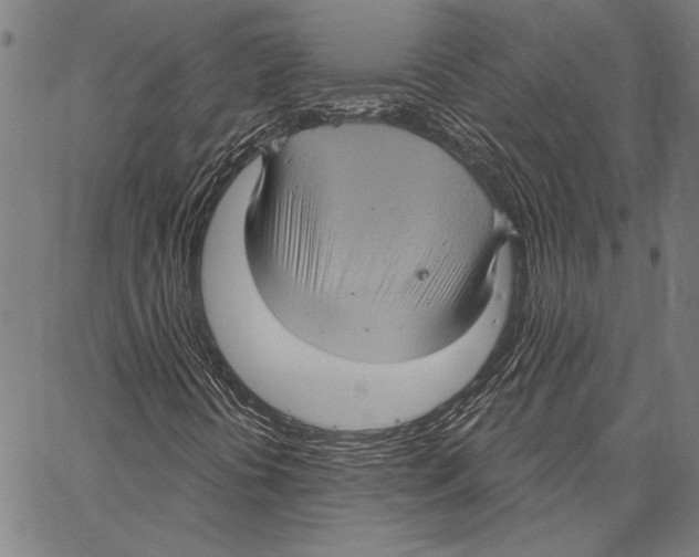 X0000066931394200604211712