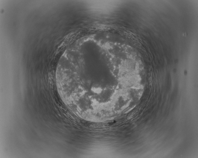 X0000066931397200604211712