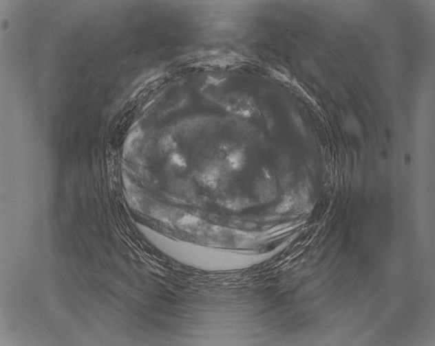 X0000066931399200604211712