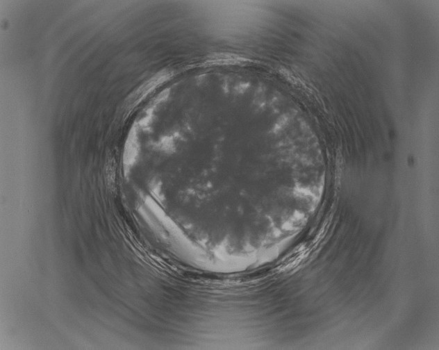 X0000066931401200604211712