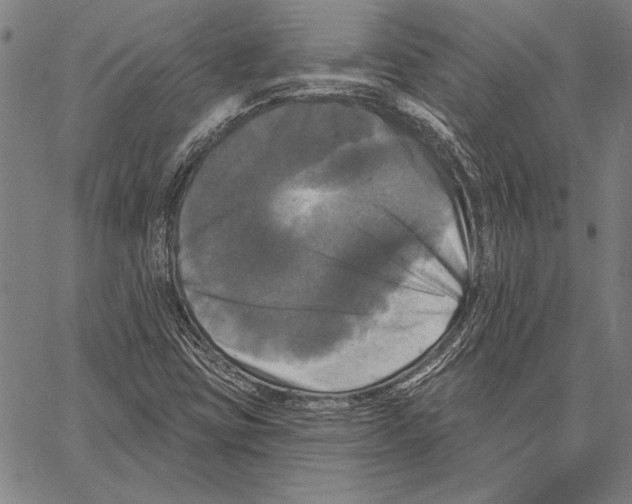 X0000066931403200604211712