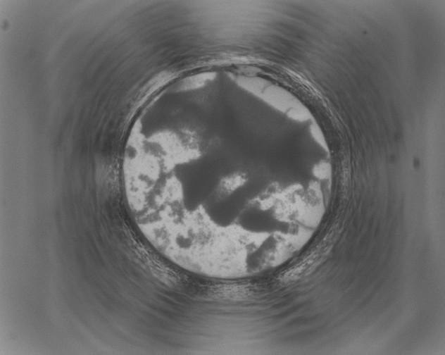 X0000066931409200604211712