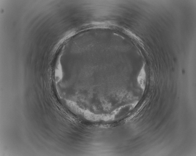 X0000066931411200604211712