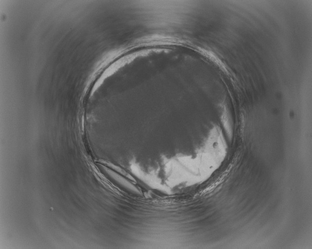 X0000066931413200604211712