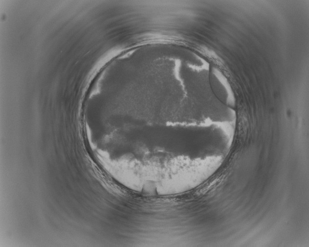 X0000066931427200604211713