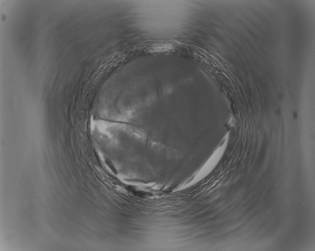 X0000066931441200604211712