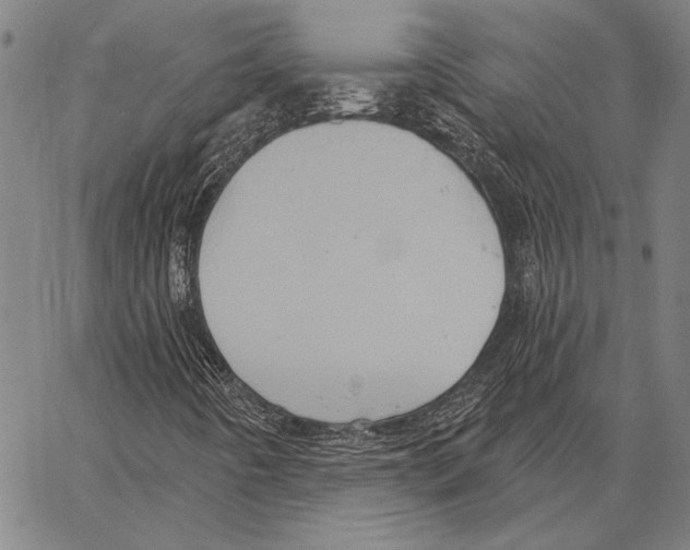 X0000066931442200604211712