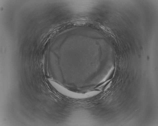 X0000066931445200604211712