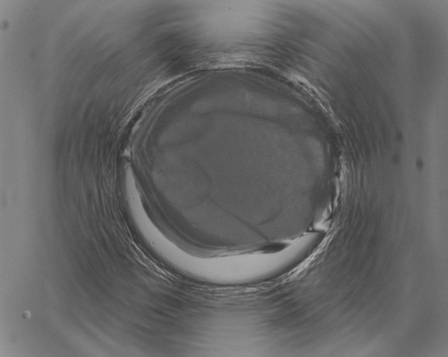 X0000066931449200604211712