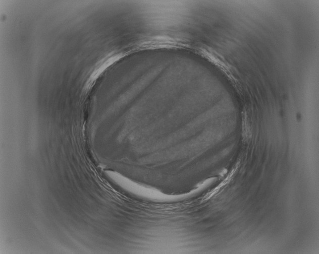 X0000066931453200604211712