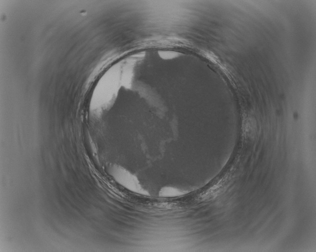 X0000066931459200604211712