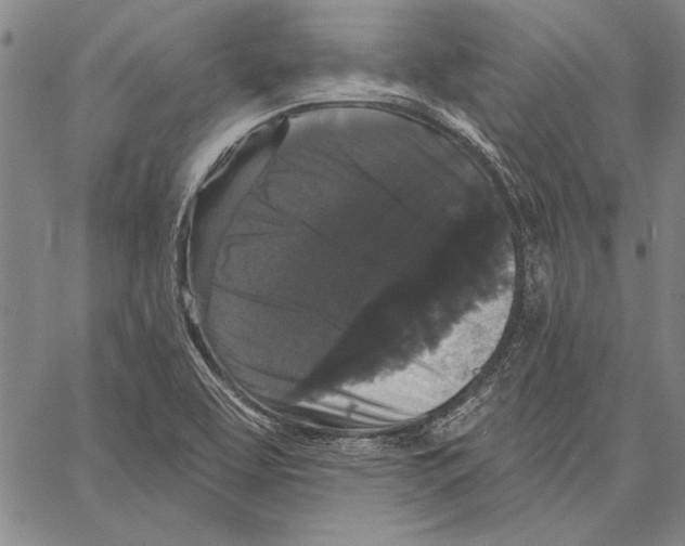 X0000066931463200604211712