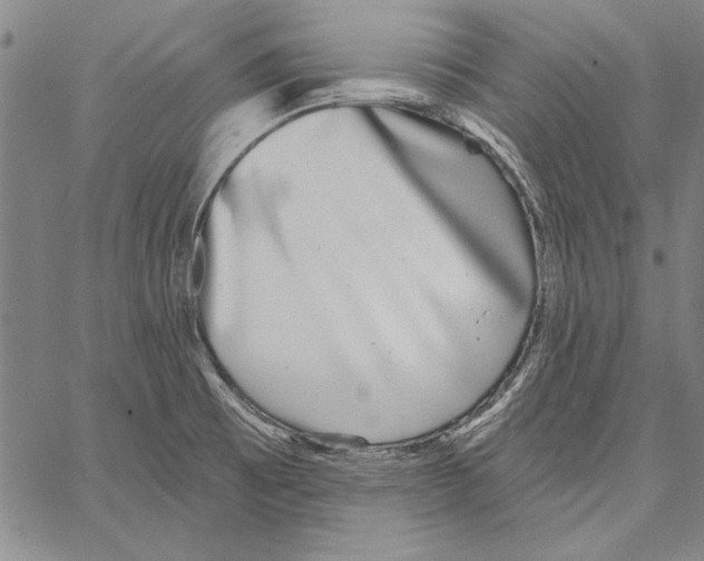X0000066931473200604211712