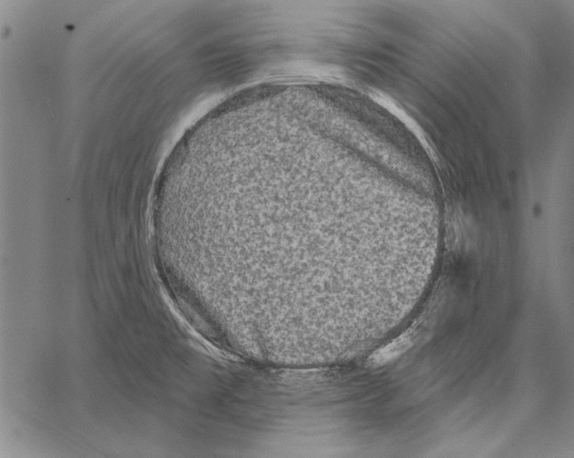 X0000066931477200604211712