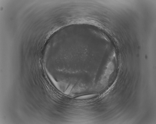 X0000066931497200604211711