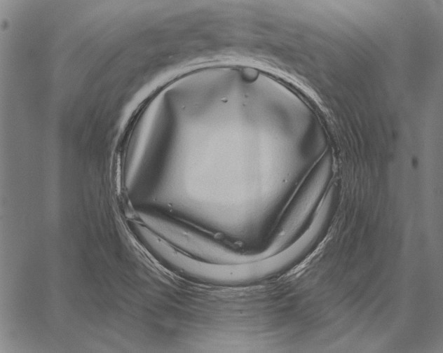 X0000066931510200604211711