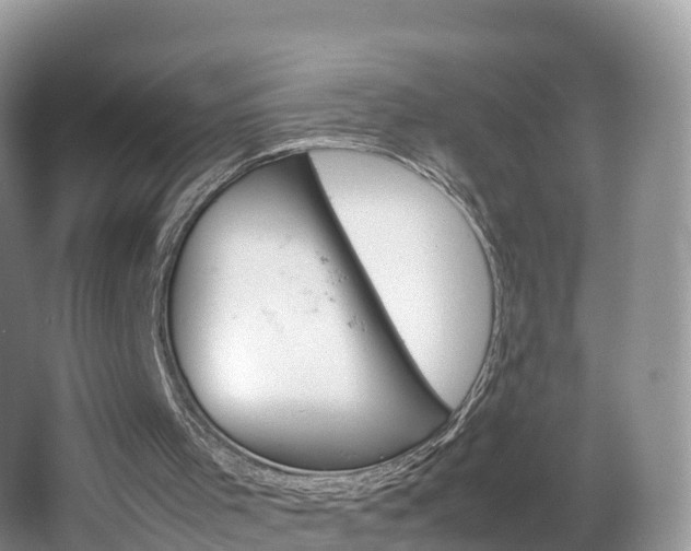 X0000066940001200603240946