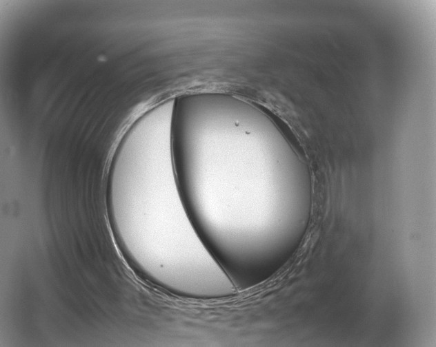 X0000066940003200603240946