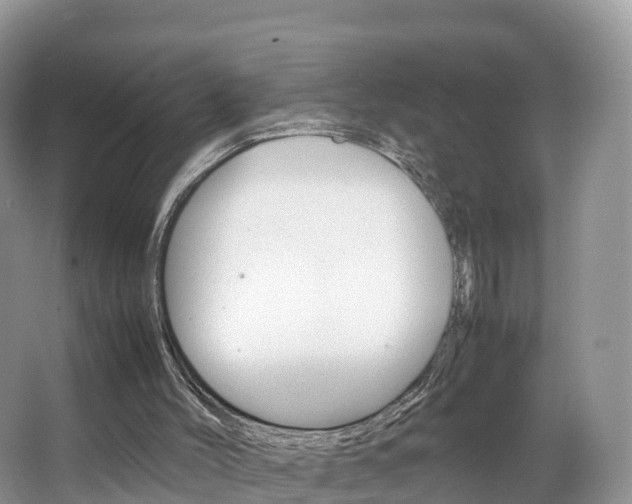 X0000066940004200603240946