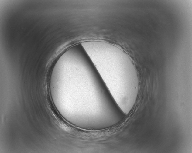 X0000066940005200603240946