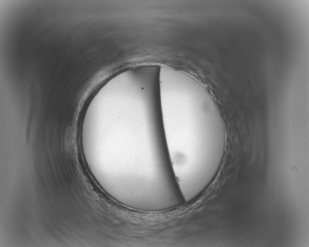 X0000066940006200603240946