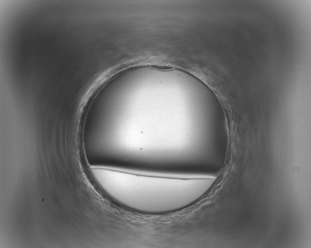 X0000066940007200603240946