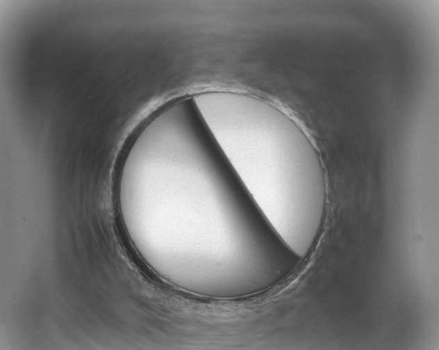 X0000066940008200603240946