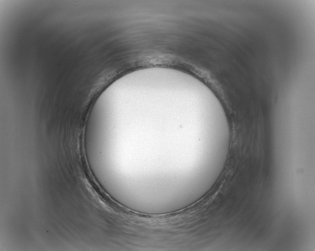 X0000066940010200603240946