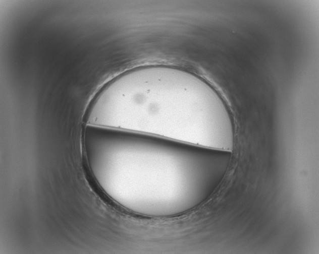 X0000066940011200603240946