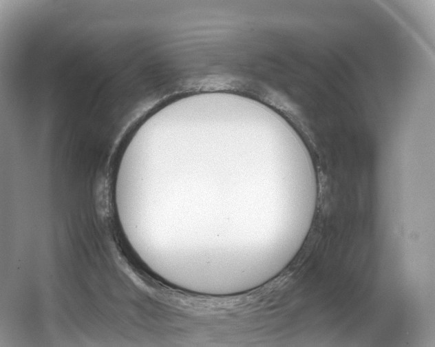 X0000066940012200603240946