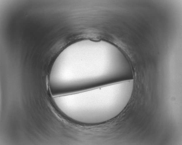 X0000066940013200603240946