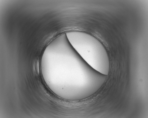 X0000066940014200603240946