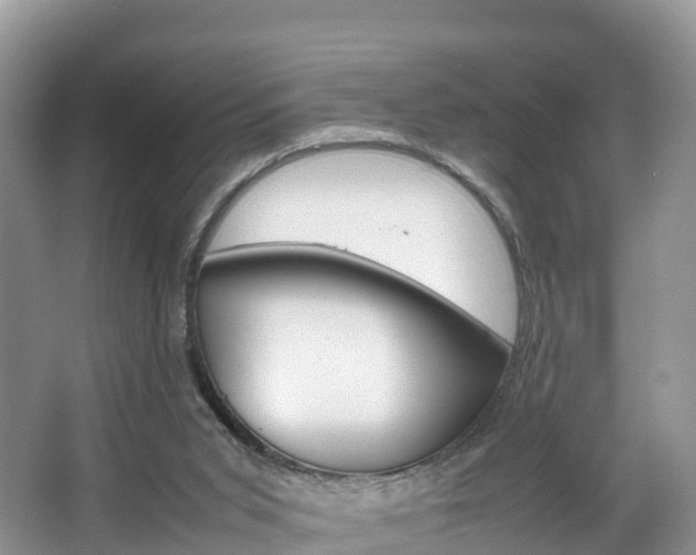 X0000066940015200603240946