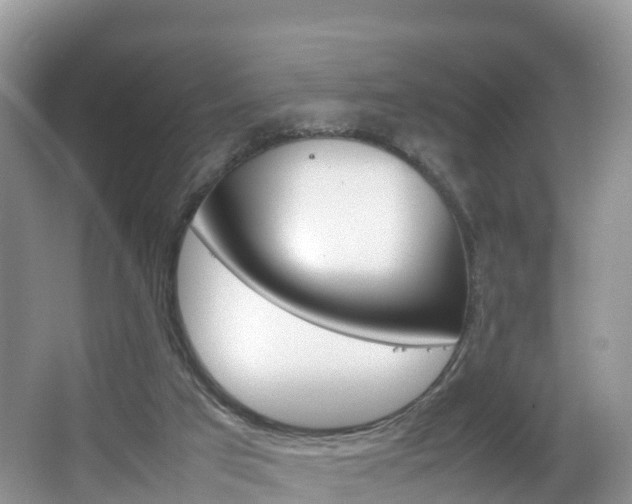 X0000066940017200603240946