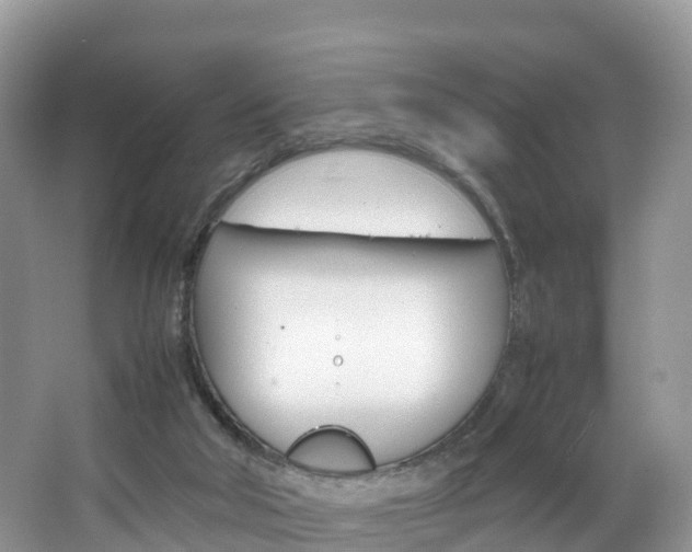 X0000066940018200603240946