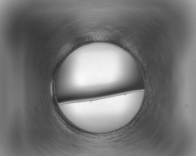 X0000066940019200603240946