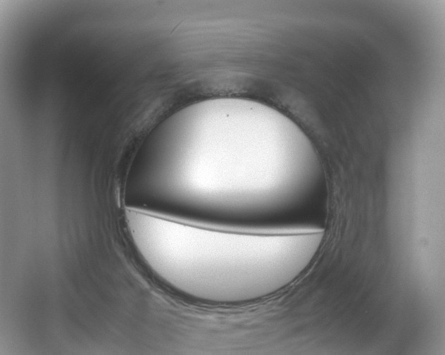 X0000066940021200603240946