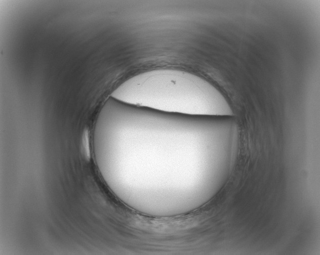 X0000066940022200603240946