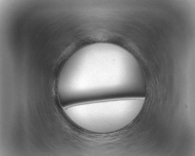 X0000066940023200603240946