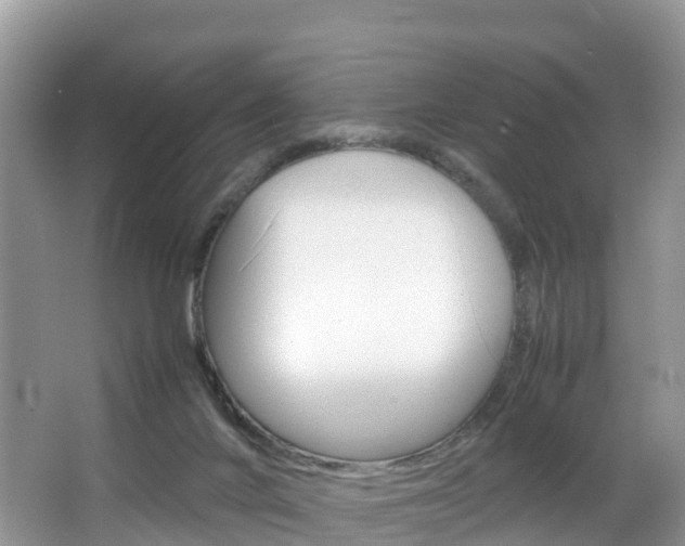 X0000066940024200603240946