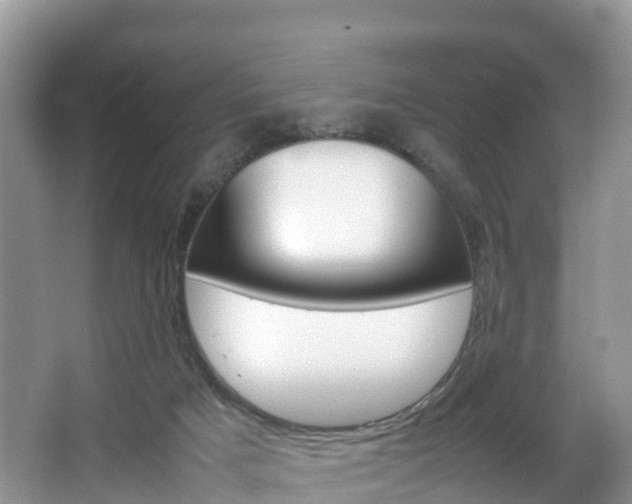 X0000066940025200603240946