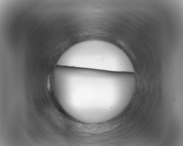 X0000066940026200603240946