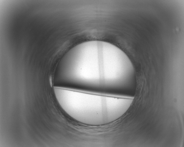 X0000066940027200603240946