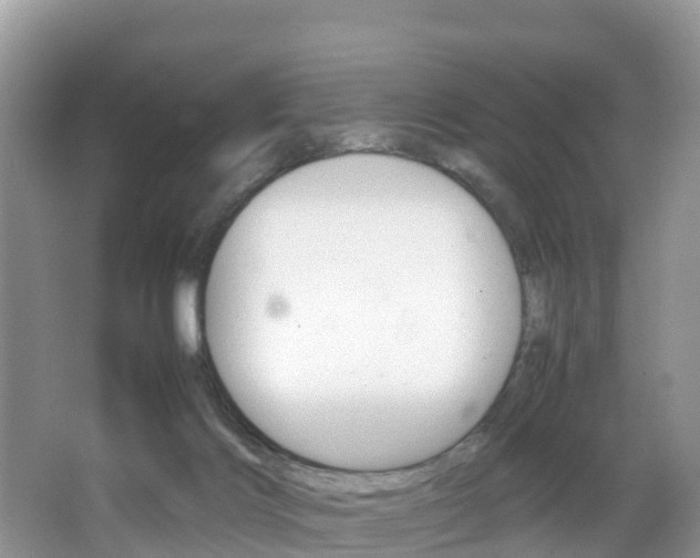 X0000066940028200603240946