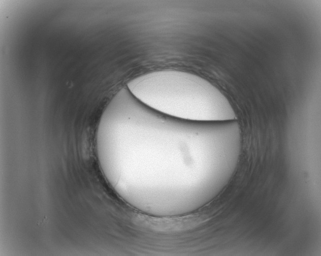 X0000066940030200603240946